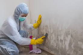 Best Mold Prevention Services  in Hialeah, FL